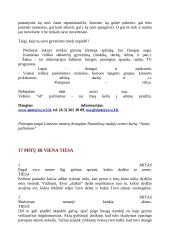 Laimės raktas paprastas - pažink save! 2 puslapis