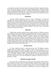 Populiariausios religijos pasaulyje 4 puslapis