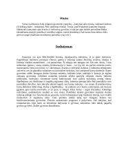 Populiariausios religijos pasaulyje 7 puslapis