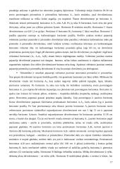 Dirvotyros kontrolinis darbas 17 puslapis