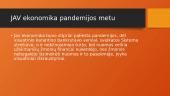 JAV ekonomika pandemijos metu: sprendimai bei pasekmės 3 puslapis