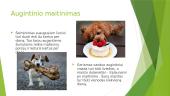 Augintinių šeimininkų pareigos 5 puslapis