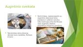 Augintinių šeimininkų pareigos 6 puslapis