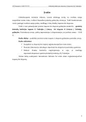 Drabužių kolekcijos importas ir eksportas iš/į Vokietijos 3 puslapis