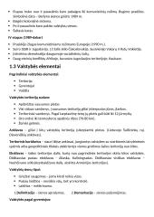 Politinės geografijos teorija 2 puslapis