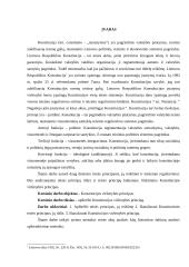 Konstitucinis viršenybės principas 2 puslapis