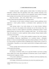 Konstitucinis viršenybės principas 3 puslapis