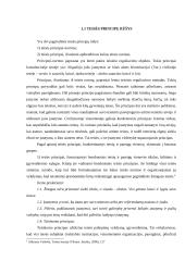 Konstitucinis viršenybės principas 6 puslapis