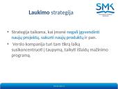 Pardavimo strategijos ir taktikos 19 puslapis