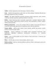 Politologijos žinių reikšmė teisininkės veiklai 3 puslapis