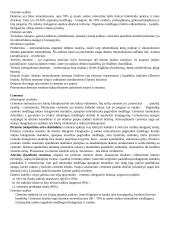 Bendri preparavimo principai 3 puslapis