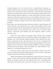 Efektyvios rinkos teorija 12 puslapis