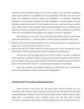 Efektyvios rinkos teorija 13 puslapis