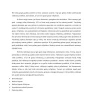 Efektyvios rinkos teorija 14 puslapis