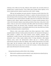 Efektyvios rinkos teorija 5 puslapis