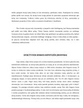 Efektyvios rinkos teorija 8 puslapis