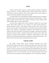 Elektrifikavimas 2 puslapis