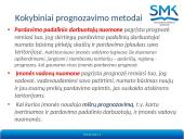 Pardavimo apimčių prognozavimas 11 puslapis