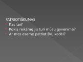 Patriotiškumas, pageidautinas elgesys 4 puslapis
