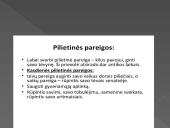 Patriotiškumas, pageidautinas elgesys 6 puslapis
