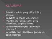 Patriotiškumas, pageidautinas elgesys 7 puslapis