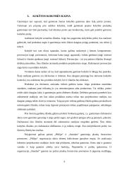 Kokybės valdymo ypatumai 10 puslapis