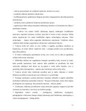 Profesinė etika viešajame administravime 11 puslapis