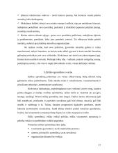 Profesinė etika viešajame administravime 12 puslapis