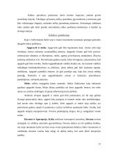 Profesinė etika viešajame administravime 13 puslapis