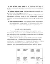 Profesinė etika viešajame administravime 17 puslapis