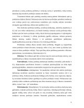 Profesinė etika viešajame administravime 6 puslapis