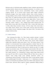 Socialinė ekonominė raida Estijoje, Europos integracija ir Europos Sąjungos plėtros procesų kontekste 9 puslapis