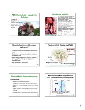 Fiziologija, hormonai 11 puslapis