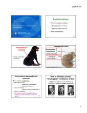 Fiziologija, hormonai 15 puslapis