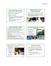 Fiziologija, hormonai 16 puslapis