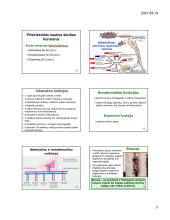 Fiziologija, hormonai 17 puslapis