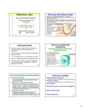 Fiziologija, hormonai 3 puslapis