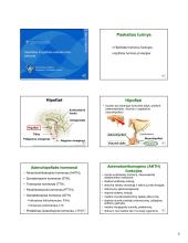 Fiziologija, hormonai 7 puslapis