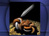 Antikos posakių kilmė, prasmė 17 puslapis