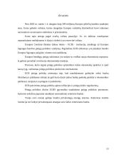 Europos Sąjungos pinigų politika 11 puslapis