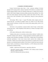 Europos Sąjungos pinigų politika 4 puslapis