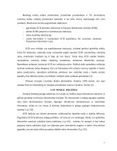 Europos Sąjungos pinigų politika 5 puslapis