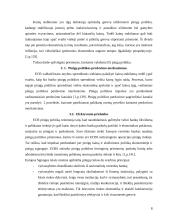 Europos Sąjungos pinigų politika 6 puslapis