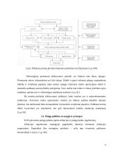 Europos Sąjungos pinigų politika 7 puslapis