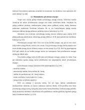 Europos Sąjungos pinigų politika 9 puslapis