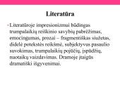 XIX amžiaus Europos kultūros bruožai  14 puslapis