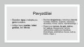 Sinonimai atlieka svarbų vaidmenį kalboje 4 puslapis