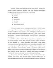 Floristinis koliažas 3 puslapis