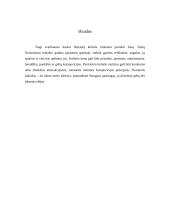 Floristinis koliažas 6 puslapis