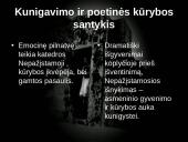 Pasaulėžiūros ir pašaukimo problemos romane „Altorių šešėly”  14 puslapis